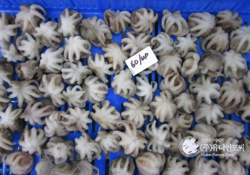 UnionForsea's tweet photo. Frozen small octopus imports, up 31% year-on-year.
https://t.co/vORf1Bpf8m
#Frozensmalloctopus https://t.co/8Hp24Axyal