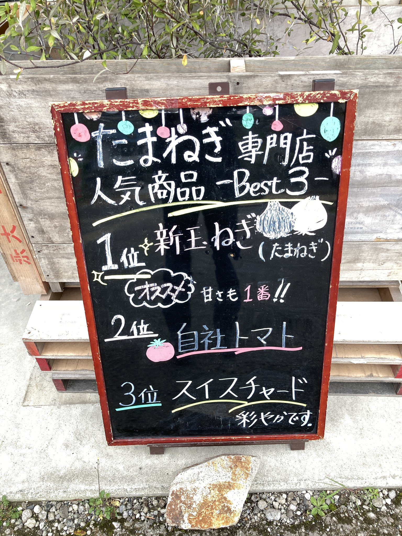 Hotel Anaga Al Twitter 玉ねぎ 専門店 こだわってます 淡路島 玉ねぎ専門店 こだわりの食材 ここでしか 北淡 玉ねぎの品種はこんなに沢山 Fbページ T Co Xlzvcq2ykc T Co Blobe9flno Twitter