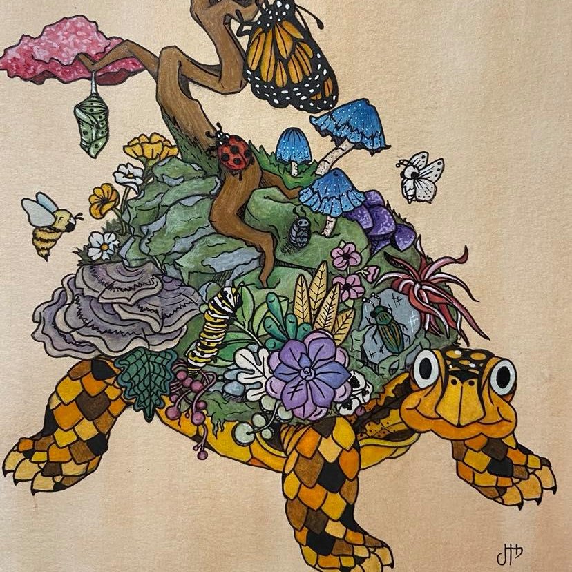 janeyearicksart's tweet image. Turtle Garden, (5"x7") Print etsy.me/3wzzK3X 

#watercolor #turtle #turtleshell #garden #turtlegarden #moss #bonsai #mushroom #mushrooms #succulents #ladybug #moth #honeybee #beetle #artgift