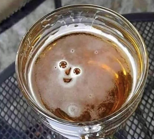 CauseWereGuys's tweet photo. Find someone who looks at you like this beer does... https://t.co/Cy4kWSLELz
