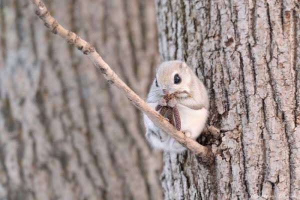 제이홉을 찾아라