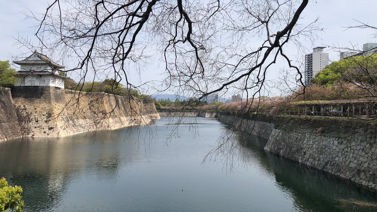 hit4tni's tweet photo. いい天気だなぁ。幸せだなぁ。 https://t.co/Wf6QOSd1B2