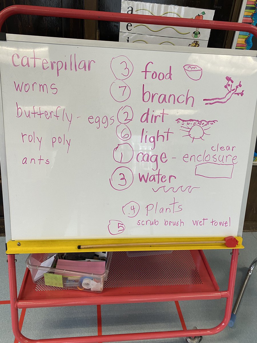 We are getting ready to create a habitat for a small animal!  These are some ideas of the types of animals we might find to put in our enclosure.  We also made a list of needs for our animal. We can’t wait to start!!!
