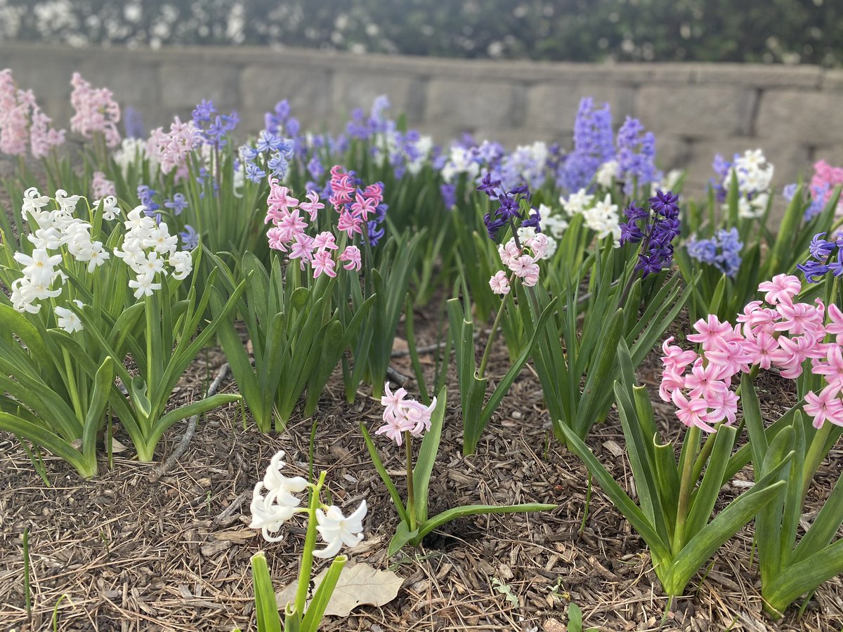 Cassie Schwartz tweet media