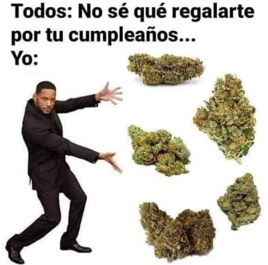 _onerolita's tweet image. 