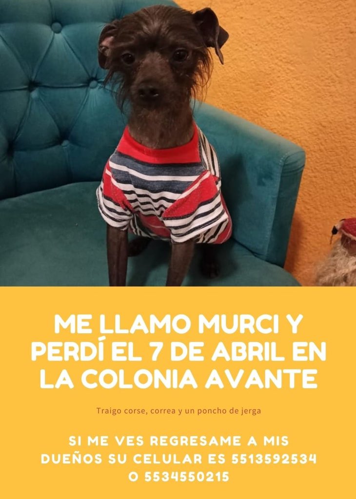 maritony's tweet photo. Ayuden a difundir por favor, gracias https://t.co/pIwZ5XwaBf