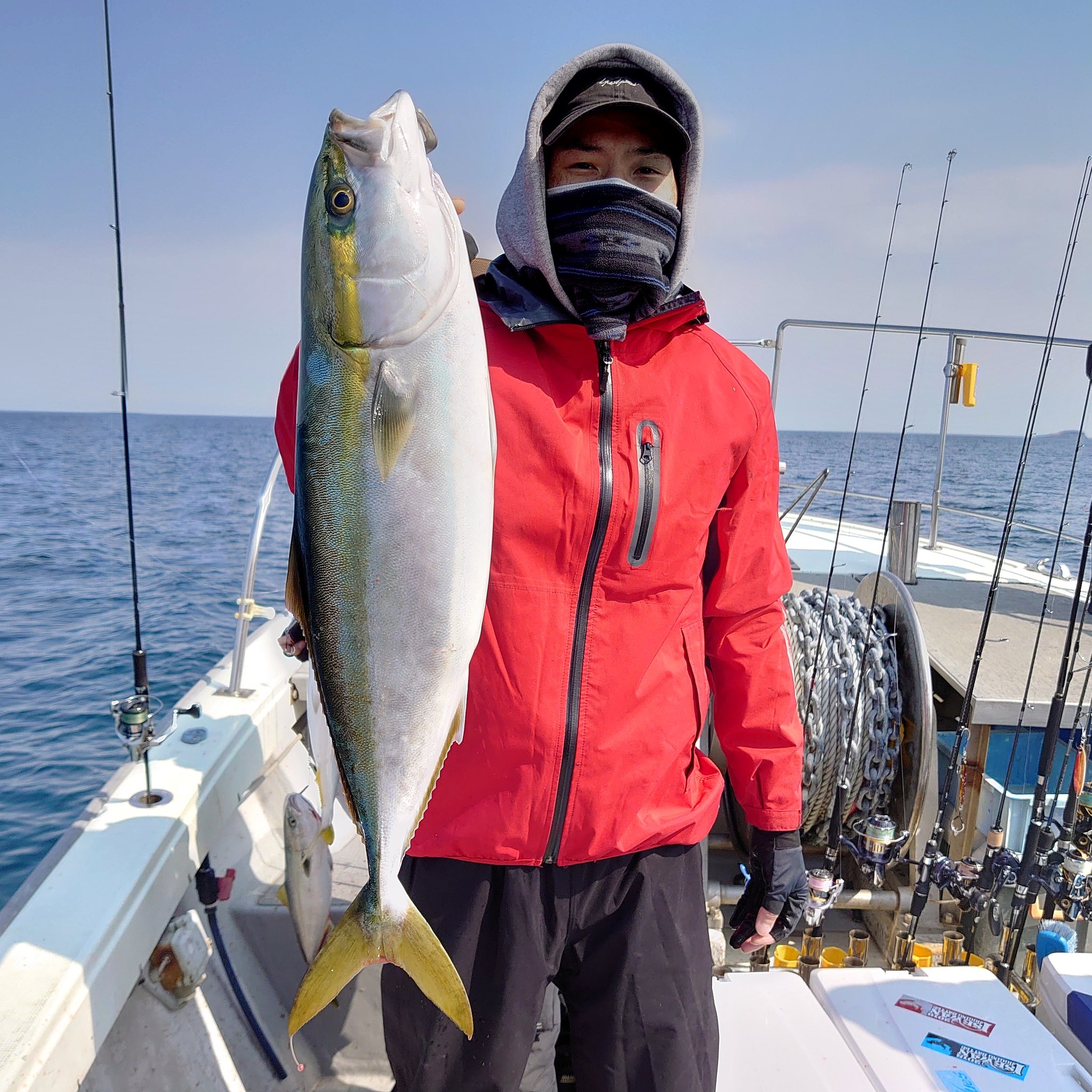ブルーズ丸せんちょ メジロget ダイワ ソルティガfkジグ80グラム Phグリーンゴールド ハマチは入れ食いで釣れてます 21年4月8日 ブルーズ丸 ブルーズ 日本海 福井県 三国 釣り 釣り好きな人と繋がりたい ルアー 海釣り ルアー