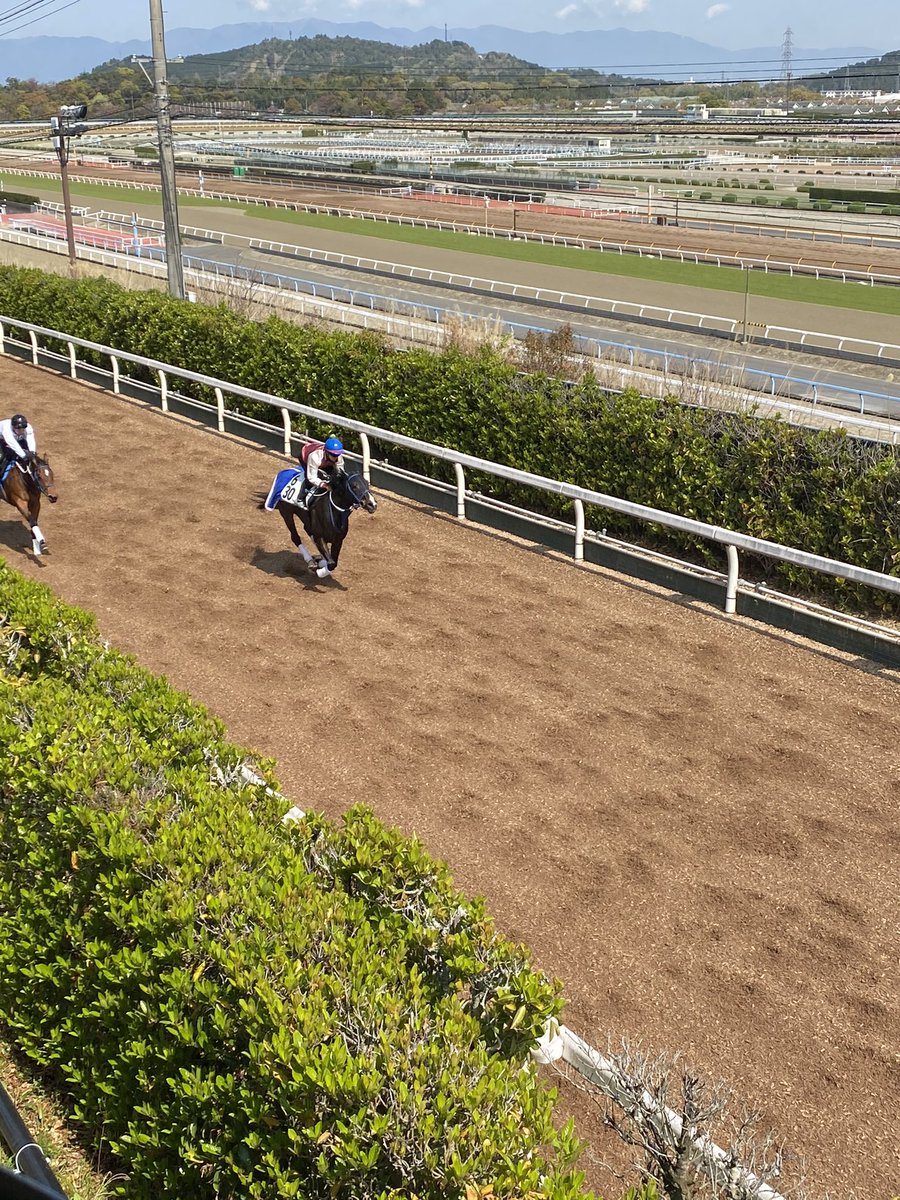 Yohji38 の画像 動画一覧 Whotwi グラフィカルtwitter分析