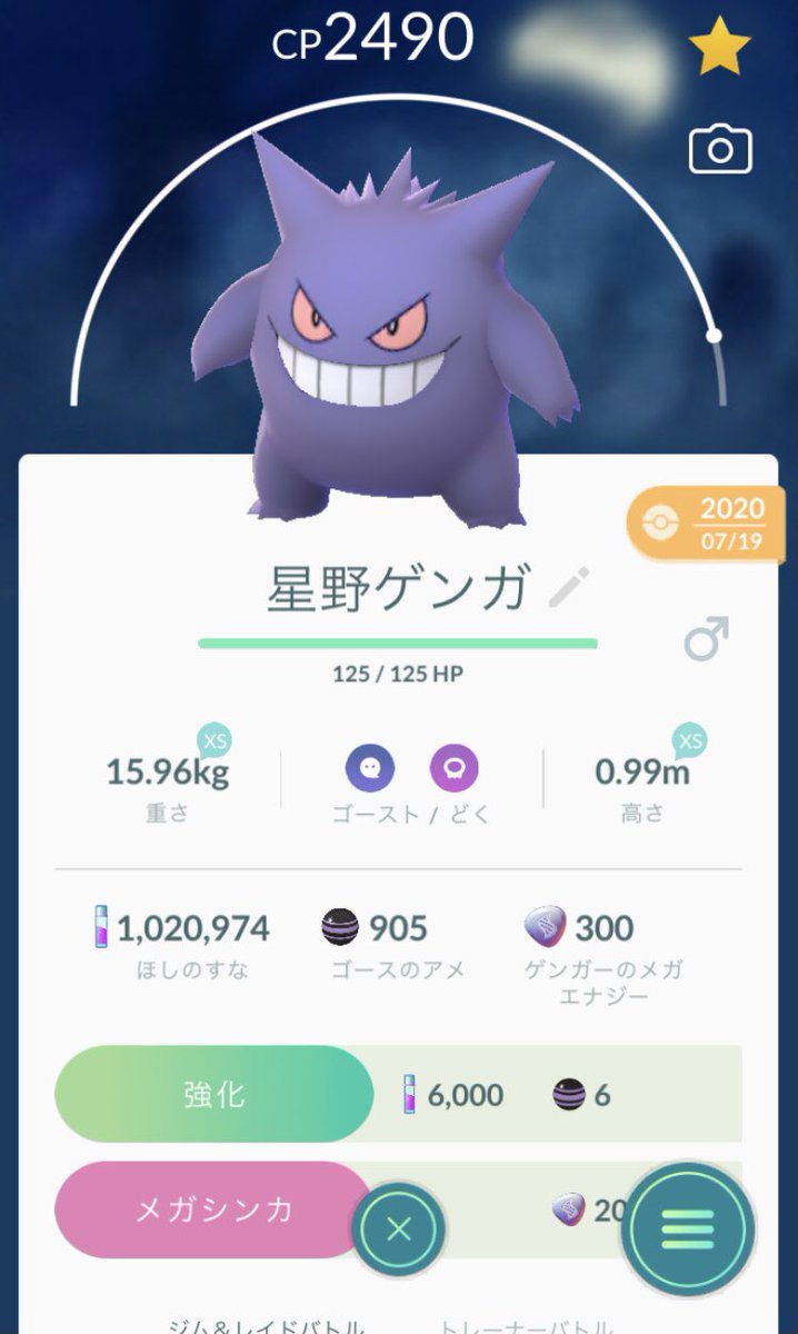 ポケモンgoクソニックネーム選手権