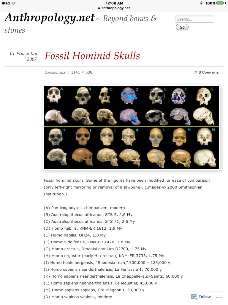 Creationist Translationist tweet media