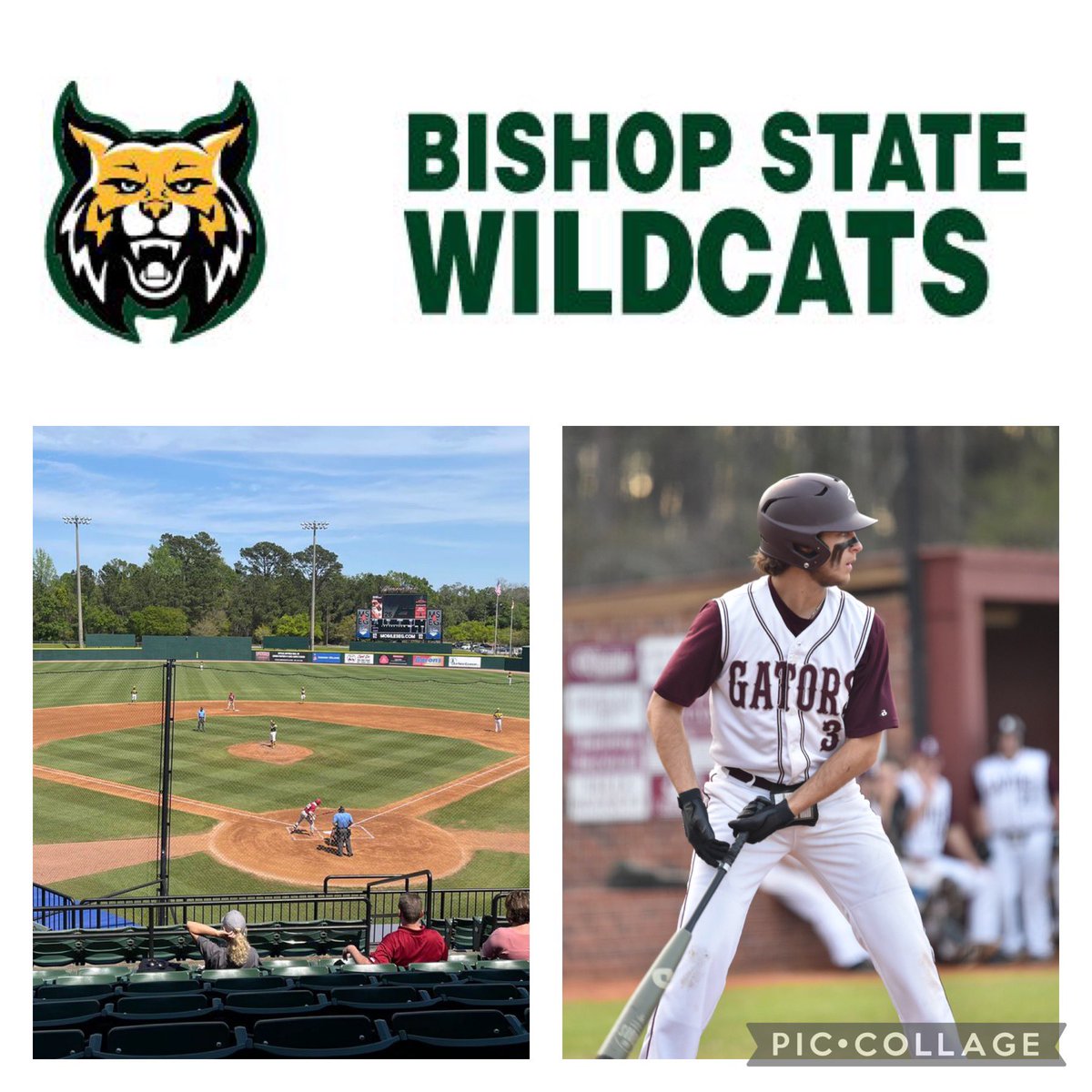 Connor Thames tweet media