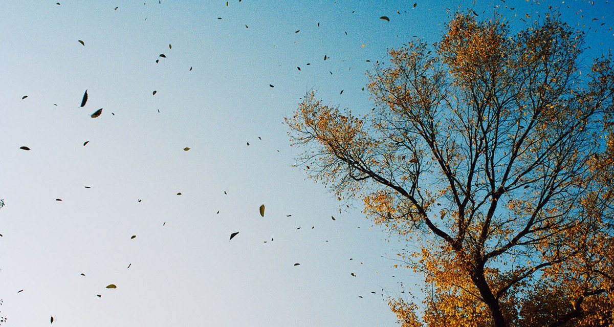 suew_4's tweet image. "With Gartner projecting that 48% of employees will keep working remotely after COVID-19, and nearly one in five will work remotely full time, HR leaders will need to invest in new technologies to address the adoption of a remote or hybrid workforce." ow.ly/s64l102EguJ