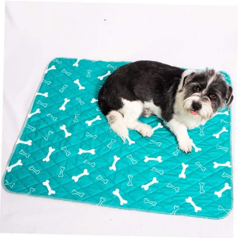 HNfreeexport's tweet photo. #petpads #petshop #pet #petpeepad #puppypads #dogpetpad
 To see more pet pads, different sizes, etc.please contact me https://t.co/oz8UNDXwVW