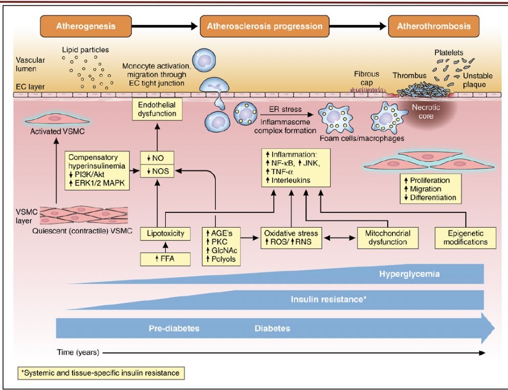 Diabetes y sudoracion Diabetes y sudoracion