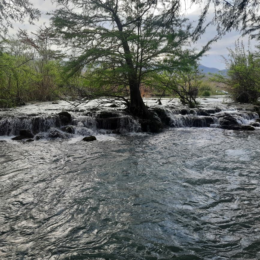 Salem Durham (@salemdurham) on Twitter photo 