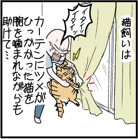 ニャンコに人の言葉が通じないことが切なくなる瞬間でもある。#ニャンコ  #まんが #マンガ #4コマ漫画 #四コマ漫画 #猫  #ねこ #猫あるある #猫漫画 #ペット #飼い主 #エッセイ漫画 #キャット #ねこのいる生活 #猫ばか 