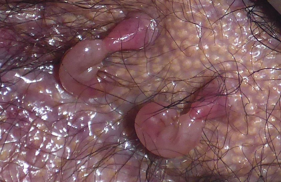 Dr David Hamilton tweet media