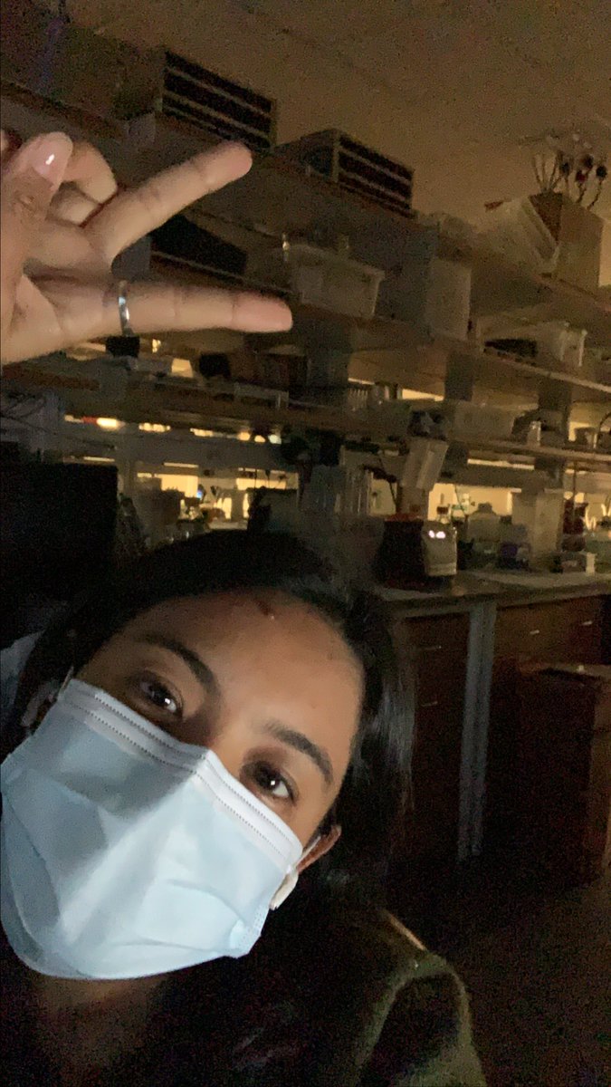 amara_pang's tweet image. Does anyone else find it relaxing to work in the lab when the lights turn off? 👻#lablyfe