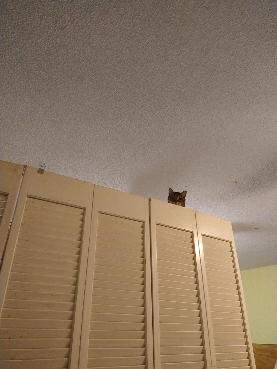 [ ooc : mama fluff looks like a fucking reaction images I'm wheezing ]