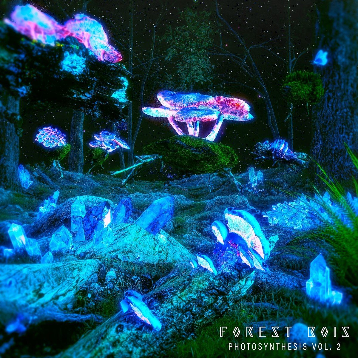 FOREST_BOIS tweet media