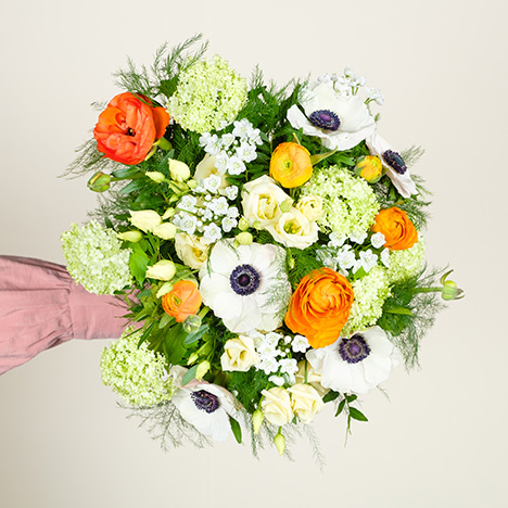 Bebloom_com's tweet photo. 🌼Bonjour Twitter🌸 avec notre bouquet Louise, une composition de saison pour ensoleiller votre intérieur ! 
=>https://t.co/fMe4slehEe https://t.co/mSWE4cR3RU