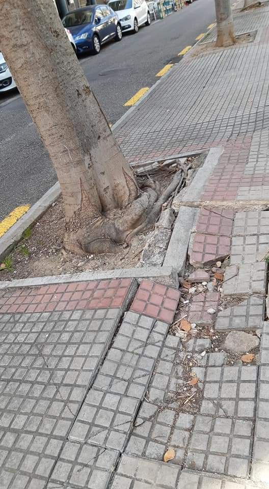 RecuperaBalears's tweet photo. #ParcdeSesFonts #Palma #voravia
¿Esto es normal @ajuntpalma? 🤔
Nos lo denuncia un ciudadano indicando que lleva años así y al estar al lado de un parque, pasean cochecitos, niños y gente mayor.
@safederaciovei1 @VecinoPalma @PalmaBarrios_ @AzotePalma @CosasPalma @PTothom https://t.co/41YhHbMRYZ