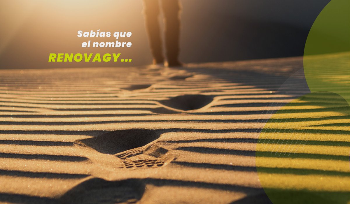 renovagy's tweet image. ...surgió de dos ideas importantes para su fundador RENOVACIÓN y #ENERGÍA, y te contamos más, la empresa comenzó a gestarse en una visita que realizó Miguel Ángel Ayuso a una planta fotovoltaica en Cáceres con problemas en las #combinerbox.  “Comprendí lo esencial que eran los...