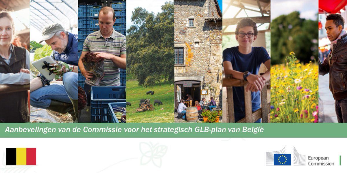 Aanbevelingen van de Commissie voor het strategisch GLB-plan van België→  https://europa.eu/!qT73HD   @EU4BE  @BelgiumEU