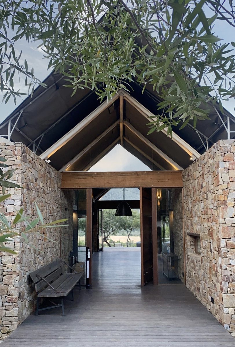 Kariega Game Reserve tweet media