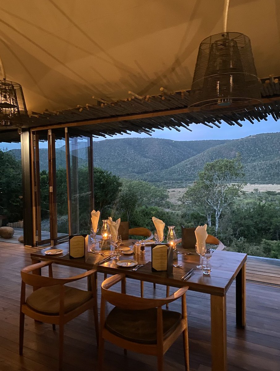 Kariega Game Reserve tweet media