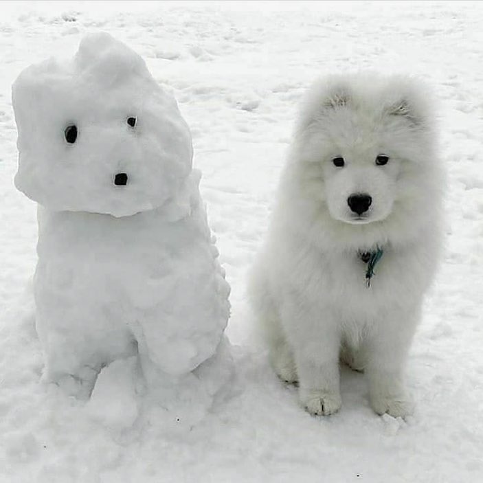 ctrl+c                                     ctrl+v