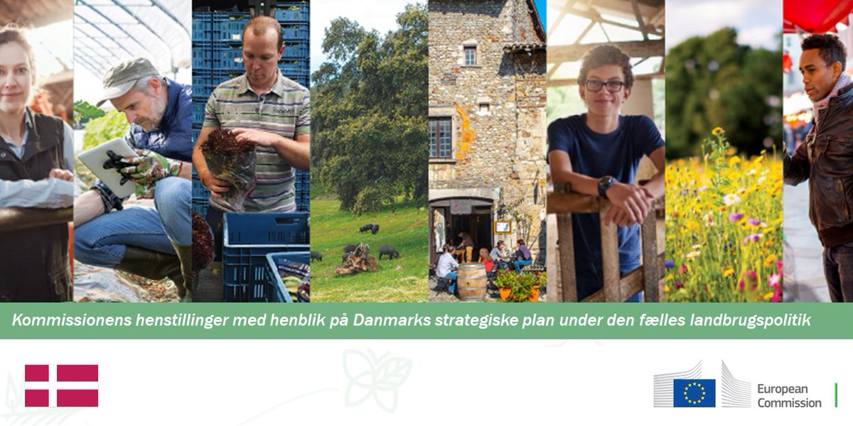Kommissionens henstillinger med henblik på Danmarks strategiske plan under den fælles landbrugspolitik→  https://europa.eu/!Mt64Yy   @euidanmark  @DKinEU
