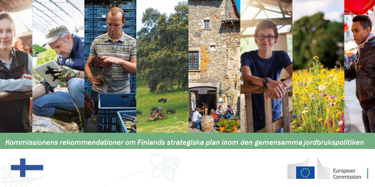 Kommissionens rekommendationer om Finlands strategiska plan inom den gemensamma jordbrukspolitiken→  https://europa.eu/!Yx89FM   @EUkomissio  @FinlandinEU