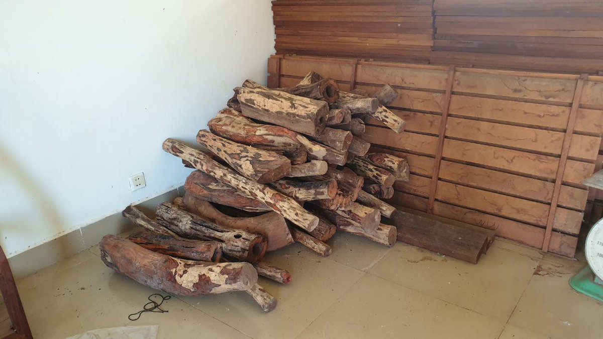Congratulations to Pursat Provincial Dptment @EnvCambodia for busting 400kg of illegal rosewood from a protected area in the Cardamoms. khmertimeskh.com/50835694/four-… 
@EUCWT #logging #rosewood #illegal #timber #ProtectTheCardamoms #Cambodia
