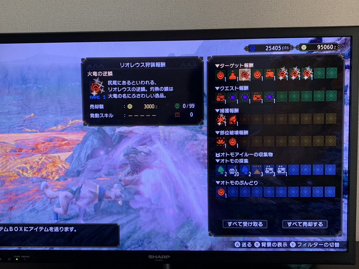 逆鱗 Hotワード 逆鱗 Hotワード
