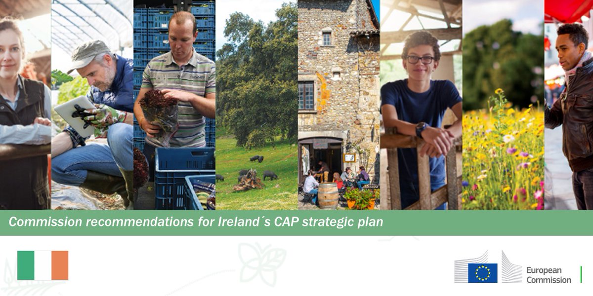 Commission recommendations for Ireland´s CAP strategic plan→  https://europa.eu/!RF77UC   @eurireland  @IrelandRepBru