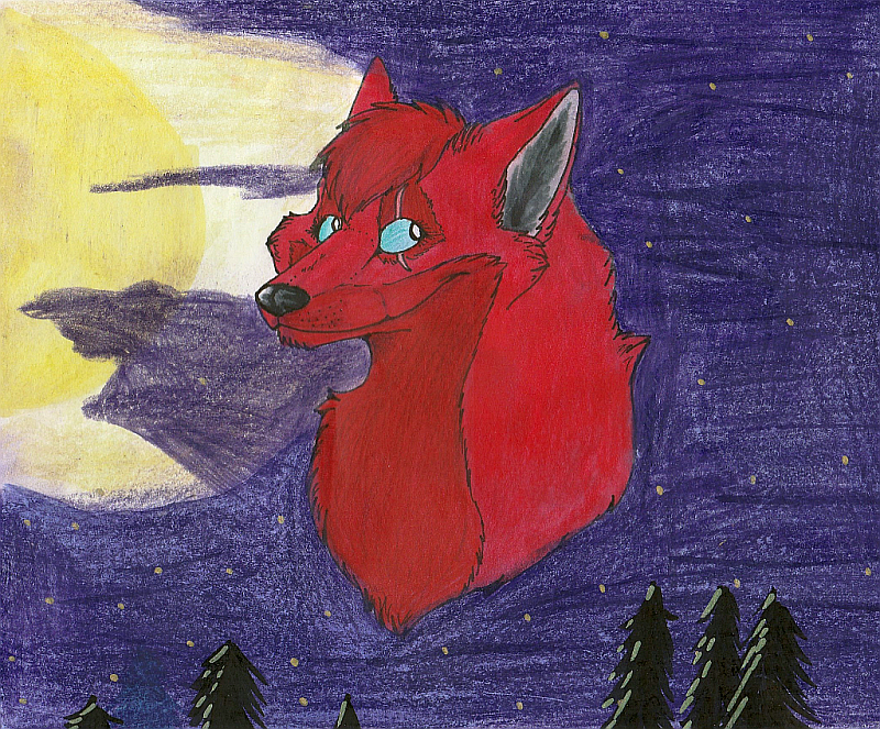 Nachtschatten tweet media