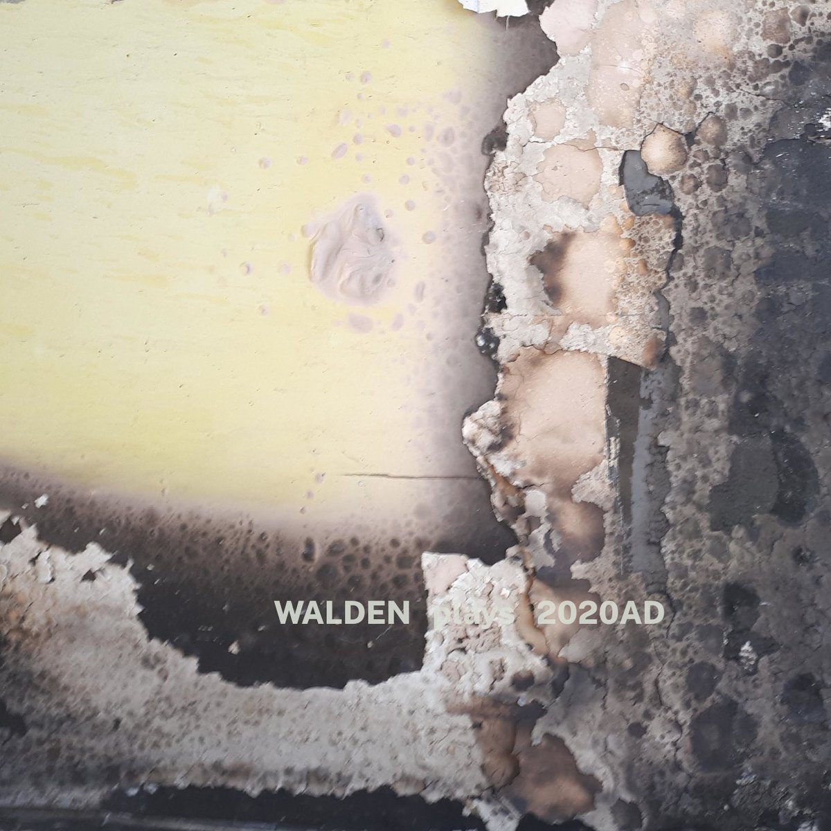 waldenplays's tweet photo. #2020AD is now available to stream and download from #bandcamp. https://t.co/A6Q6VzNhN3 https://t.co/MtAfUeGvbP