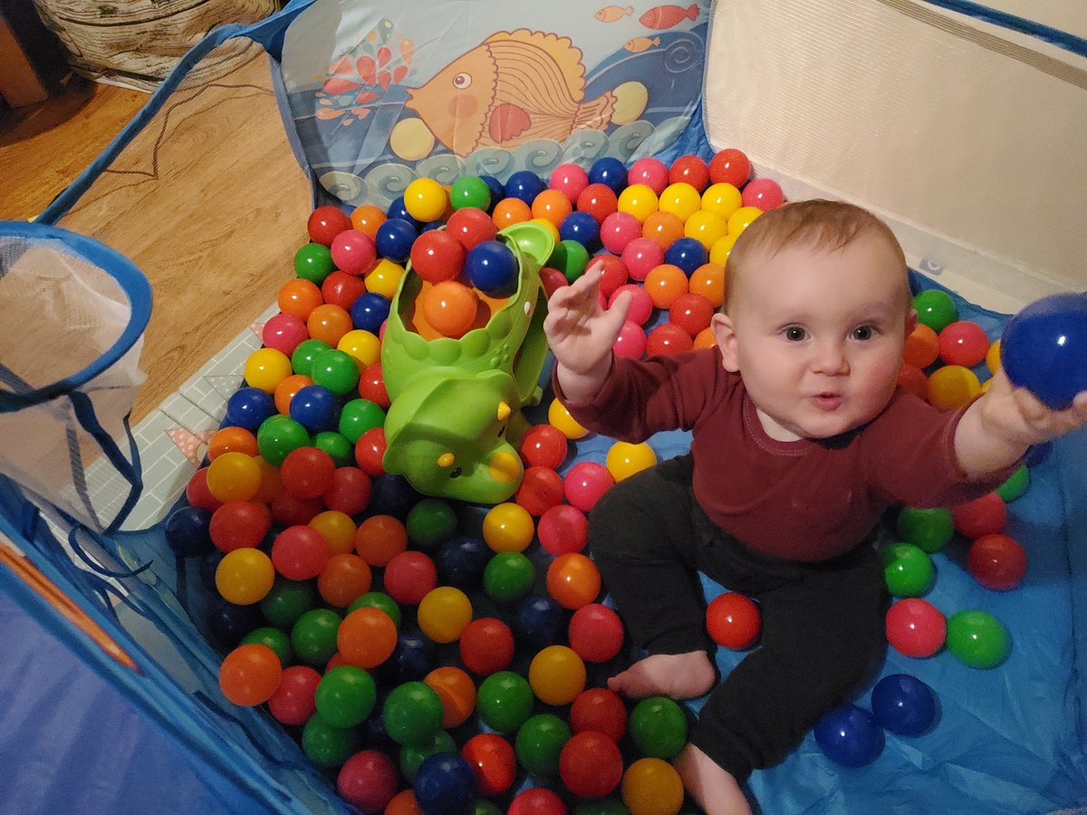 AndrewButler31's tweet image. I will now only be covering ballpit basketball -- toddler league.