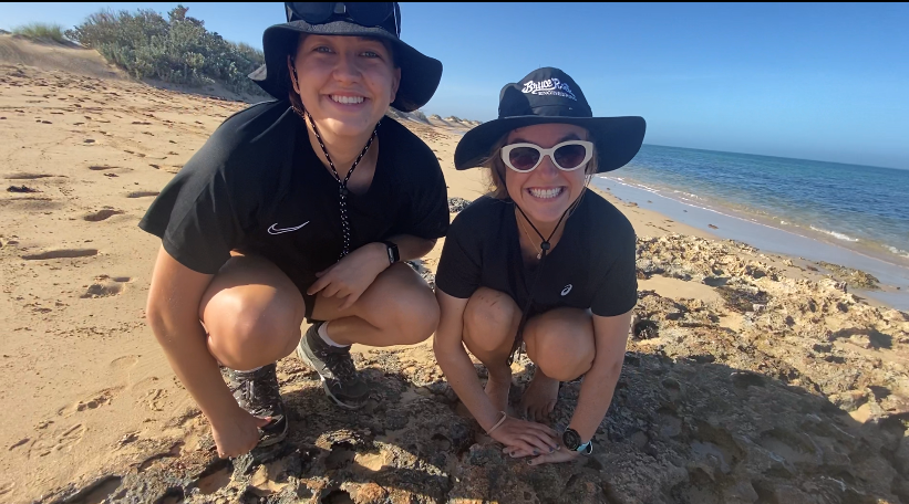 Centre For Marine Ecosystems Research tweet media