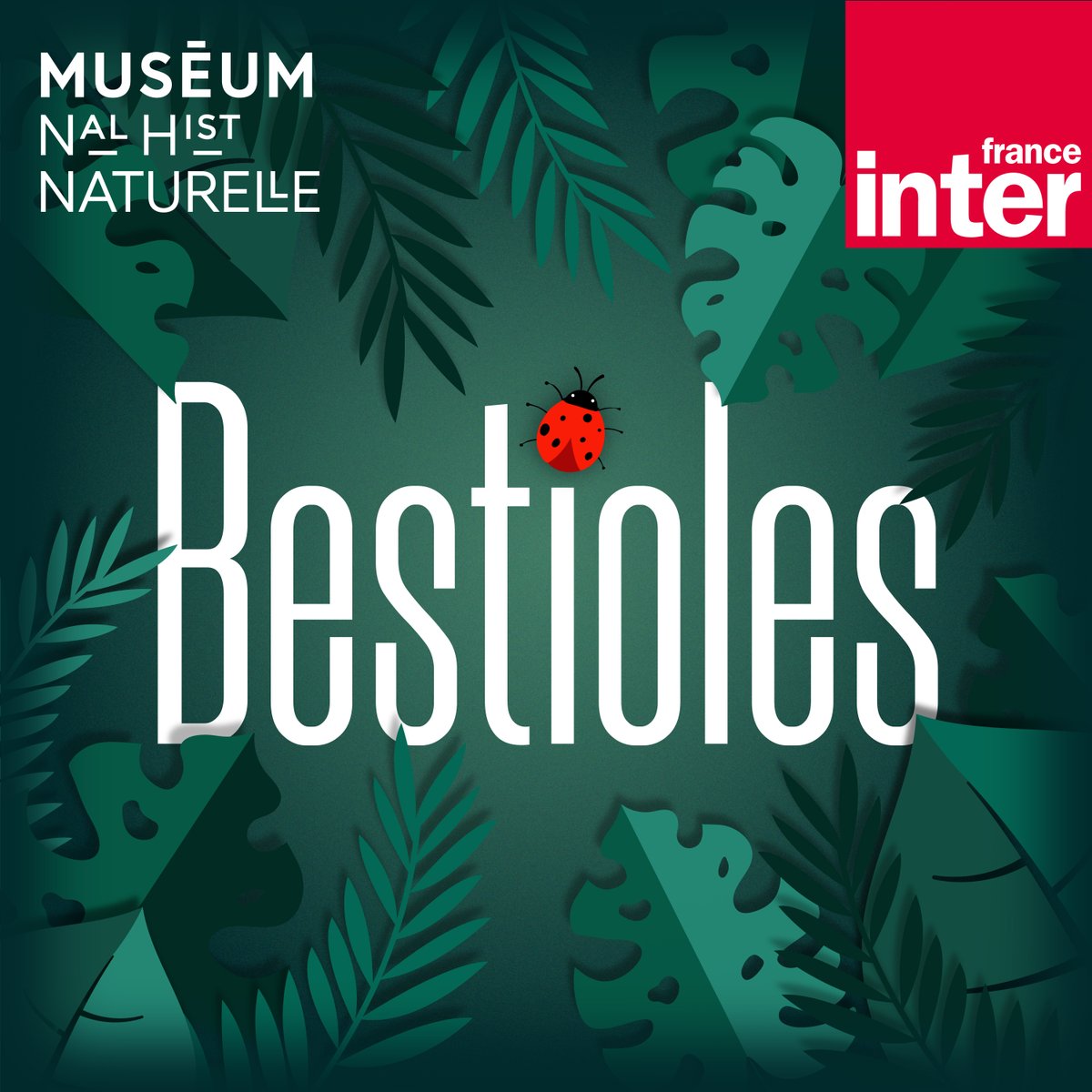 🐞 B E S T I O L E S 🐞

👉 Un bestiaire ludique et joyeux pour les 5-7 ans : découvrez notre nouveau podcast jeunesse, co-produit avec <a href="/Le_Museum/">Muséum national d'Histoire naturelle</a> ⤵️
franceinter.fr/emissions/best…
#podcast #lecoindesenfants #Bestioles