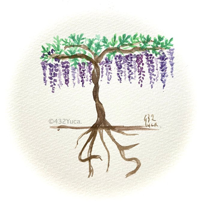 誕生花イラストのtwitterイラスト検索結果