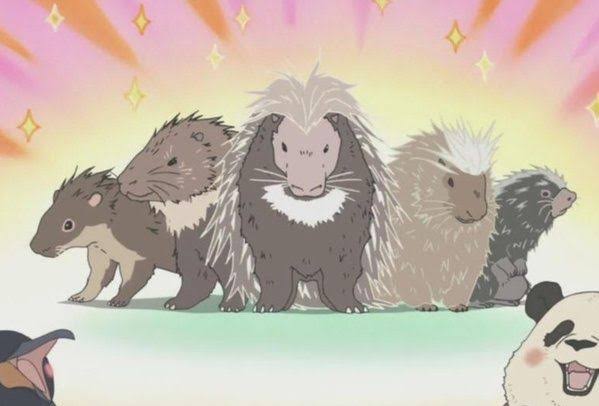 周南市徳山動物園 公式 冬はヒーターの下で暖をとっていたヤマアラシですが 暖かくなってきたためか 今日はみんなで外にいました 戦隊 レンジャーみたい 徳山動物園 インドタテガミヤマアラシ ヤマアラシ 並び方 T Co Gjig5qitts