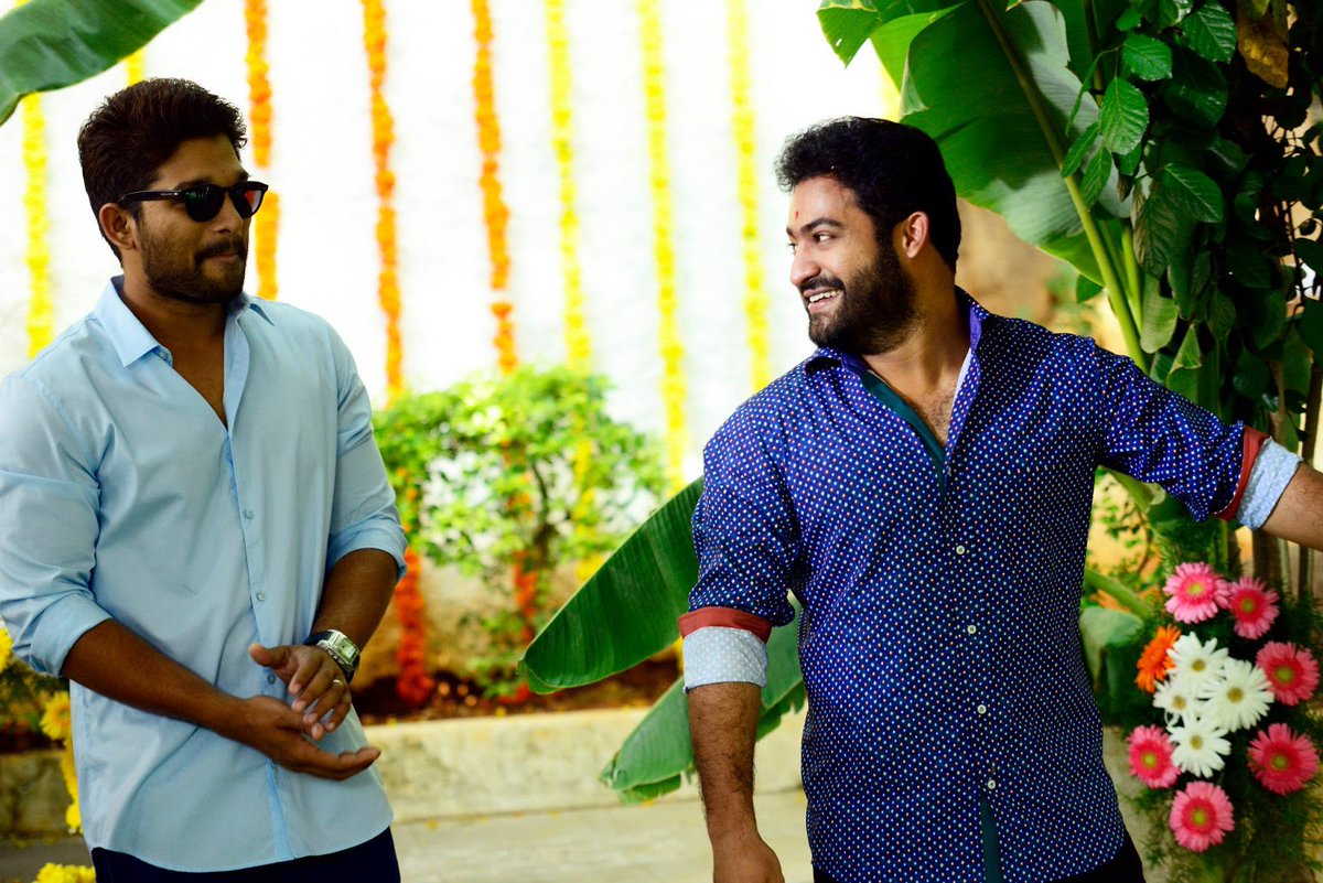 NTRFanTrends's tweet photo. Here's Wishing Icon Star @alluarjun Garu, A Very Happy Birthday From All #NTR @tarak9999 Fans 💙

Wishing You All The Peace &amp; Good Health !

All The Best For Your Upcoming Film #Pushpa

#HappyBirthdayAlluArjun https://t.co/BH9ikZDKzq