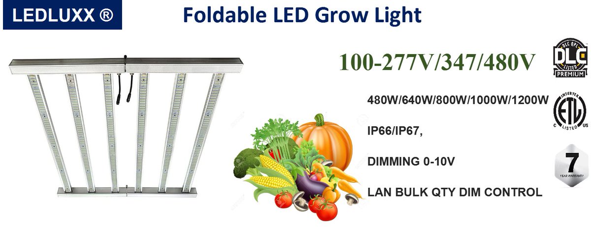 ledluxx's tweet photo. LEDLUXX ®  SMART City is ON!!!   ---  LED  GROW LIGHT  DMX512, ZIGBEE, DALI 0-10V, photocell, WIRELESS SMART CONTROL, 5G, WIFI , MONITOR, CCTV  #stadiumlight #stadium #sportslight #ledsportslight #sports #led #ledlights #ledlighting #ledluxx  #growlight  #growlights #cocain https://t.co/nuPNnoKWVI