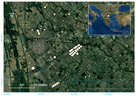 AgricultureMdpi's tweet photo. #mdpiagriculture  New paper "Topdressing Nitrogen Demand Prediction in Rice Crop Using Machine Learning Systems" by Miltiadis Iatrou et al. 

#yieldmaps
#precisionagriculture

Welcome to read: https://t.co/56V89IZXAD https://t.co/zzNyqxrNik
