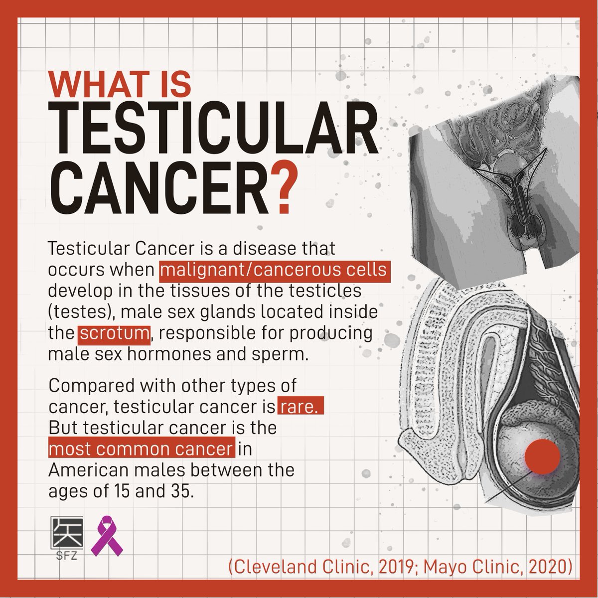 project_sfz's tweet photo. In commemoration of Testicular Cancer Awareness Month this April, Project SFZ hopes to shed light on Testicular Cancer, a serious disease that has affected several men and their families. https://t.co/9MdwaYkOBT