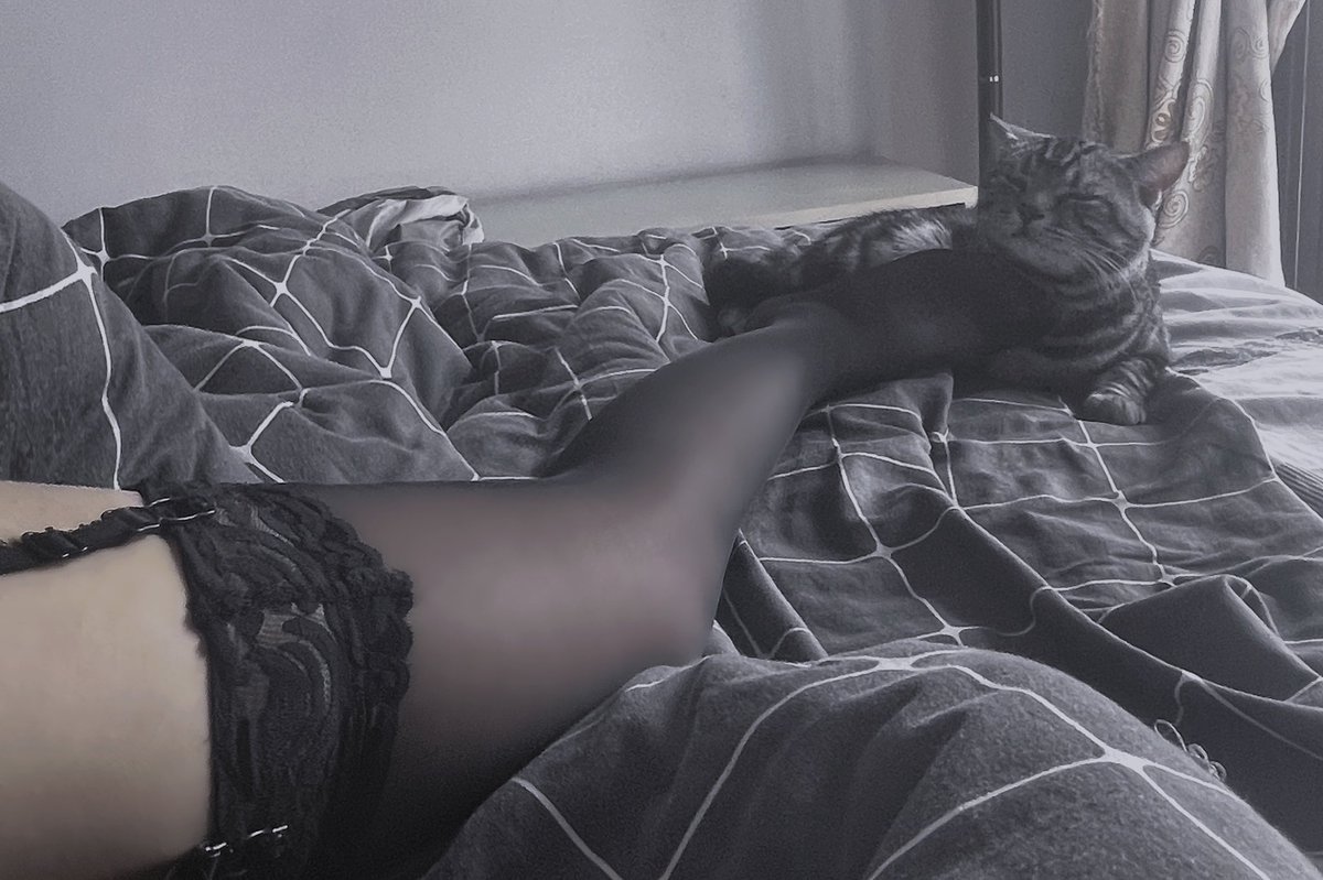 xzttaxl's tweet photo. 是舔舔不是他妈的咬我 https://t.co/DACZzk5smh