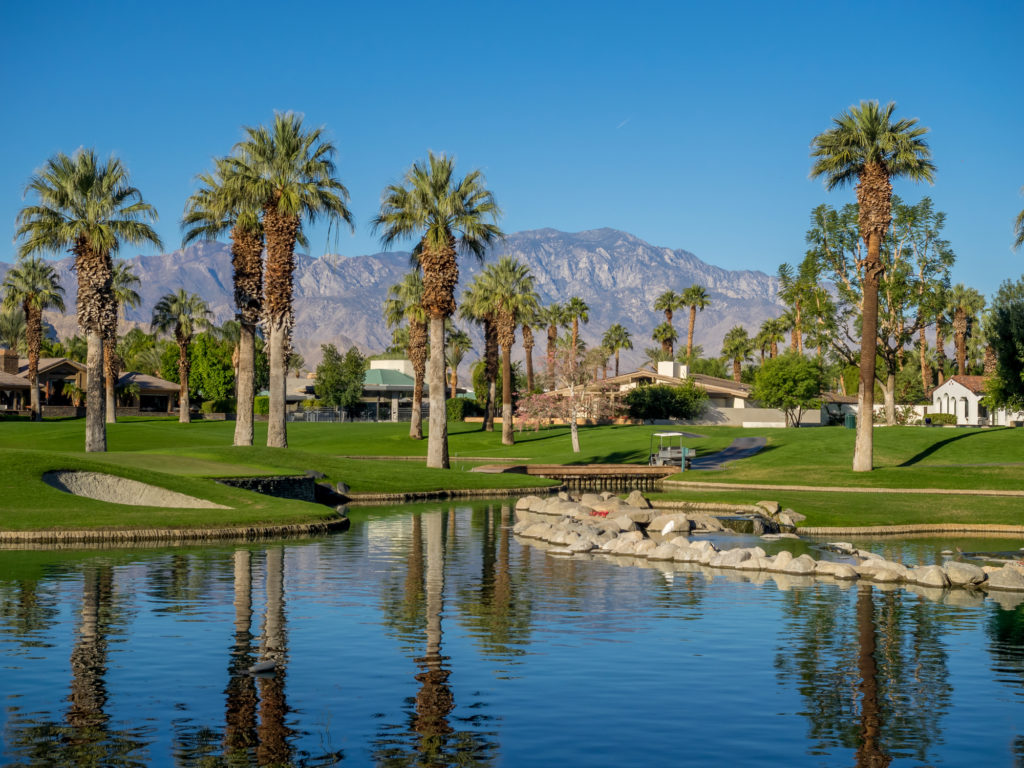 Team_pshomes's tweet photo. People who Work at Home are Moving to Palm Springs

More Demand for Homes in Communities Like Palm Springs for People who Work From Home. #buyahomepalmsprings
https://t.co/c3EdSs36bO https://t.co/qoTyhcGxHI