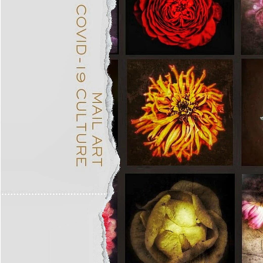 Flowers Mail Art Covid-19 Culture Giulia Caminada